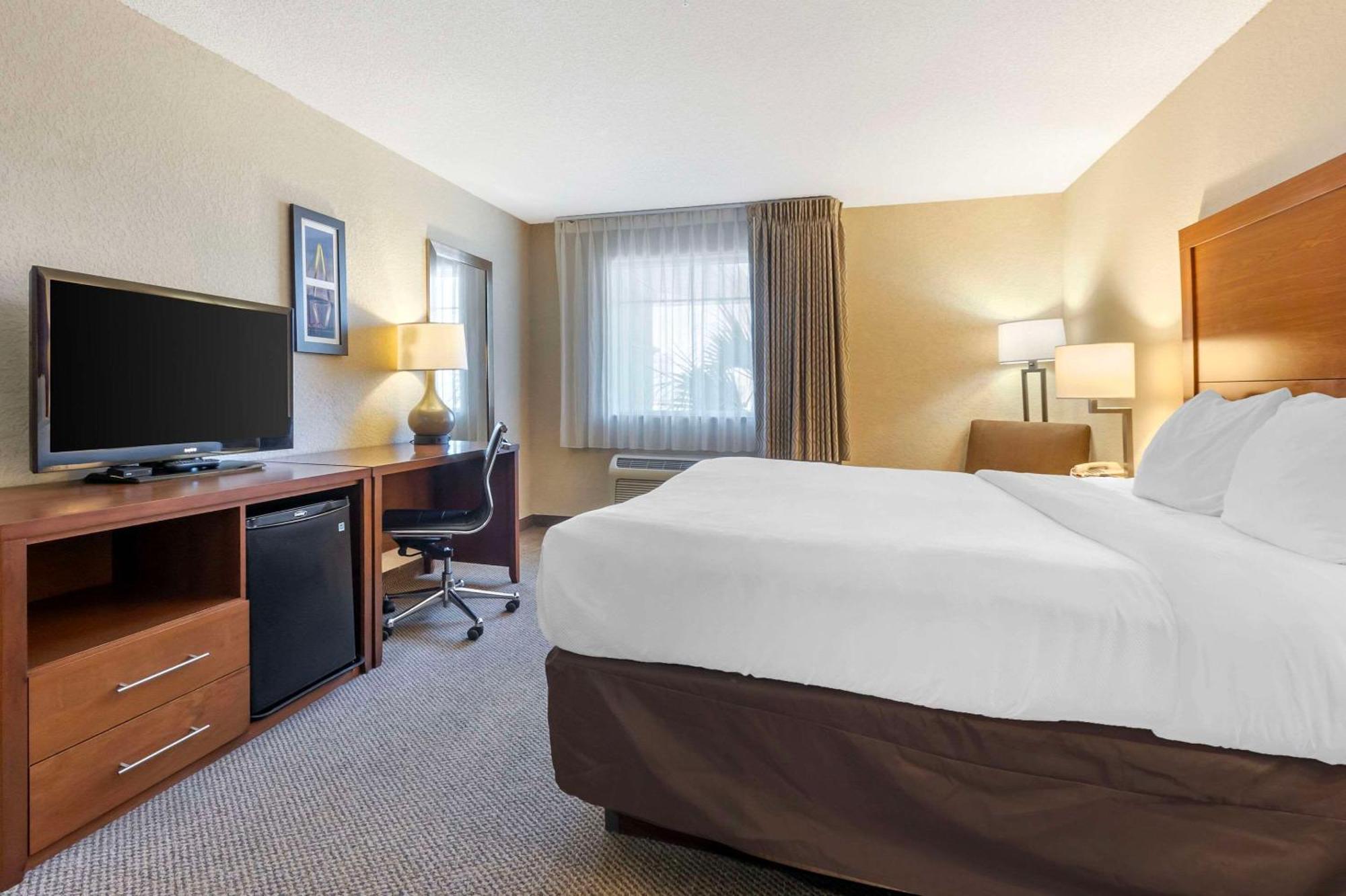 Comfort Inn & Suites Airport Convention Center North Charleston Eksteriør bilde